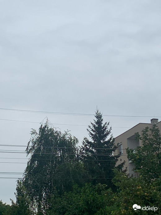 Pápa