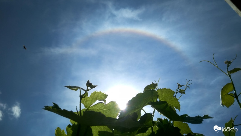 Tűzszivárvány Vásárhelyen is