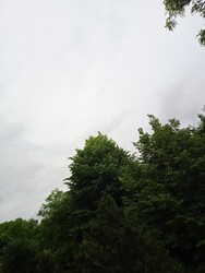 Tököl