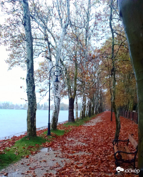 Balatonföldvár platánsor