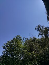 Pilisvörösvár