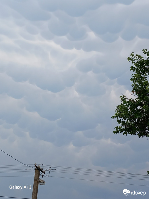 Észlelési fényképek