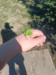 Mindenkin élvezi ezt a szép nyárutót