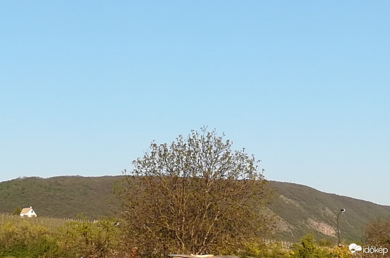 Mór