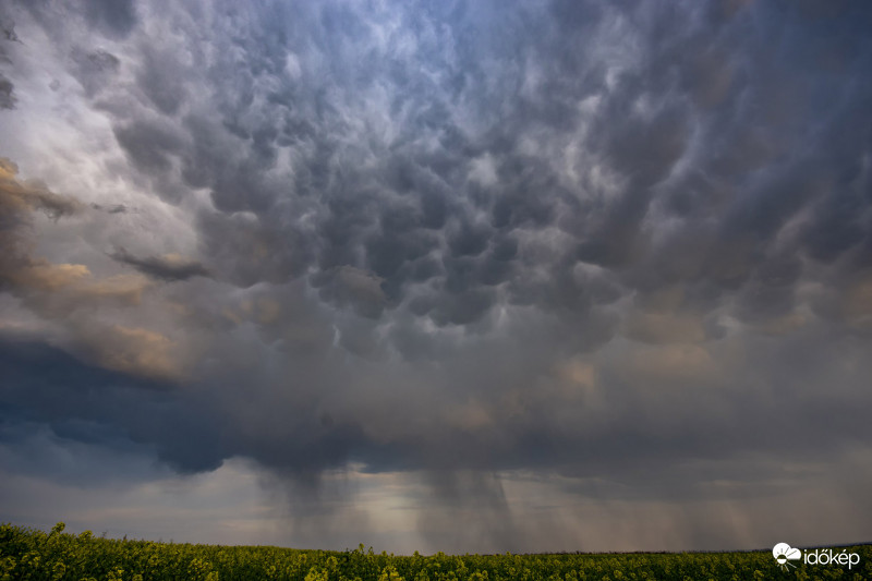 Mammatus