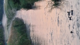 Reggeli pára az Által-éren