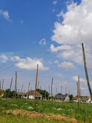 Lehetséges Patkóörvény 