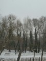 Dunaharaszti