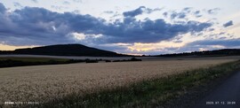 Tiszaderzs
