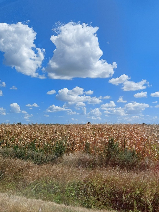 Dunaföldvár