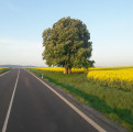 Veľaty