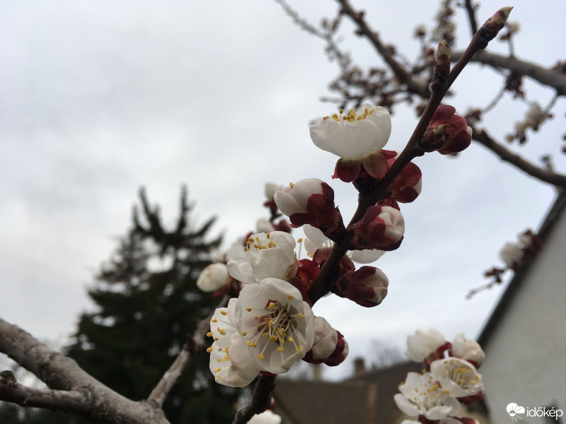 Budapest XIX.ker - Kispest