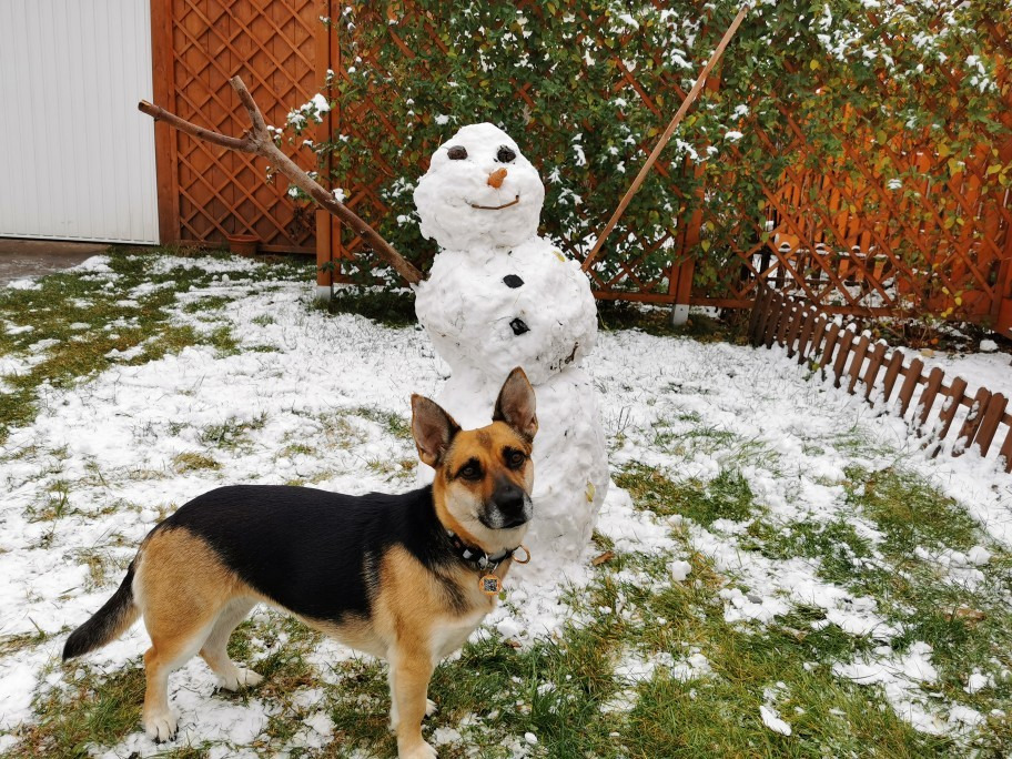 Budapest XIX.ker - Kispest