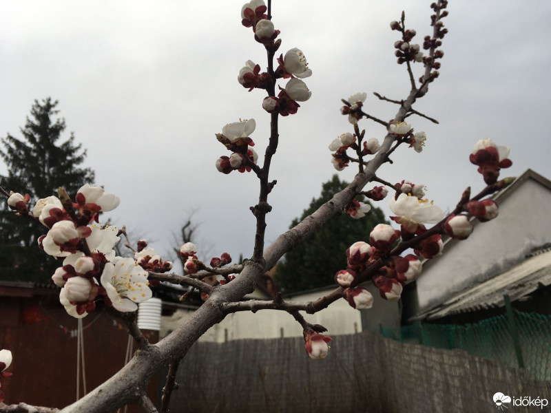 Budapest XIX.ker - Kispest