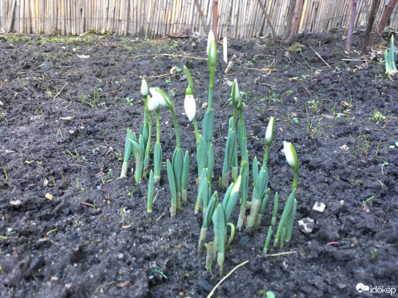 Budapest XIX.ker - Kispest