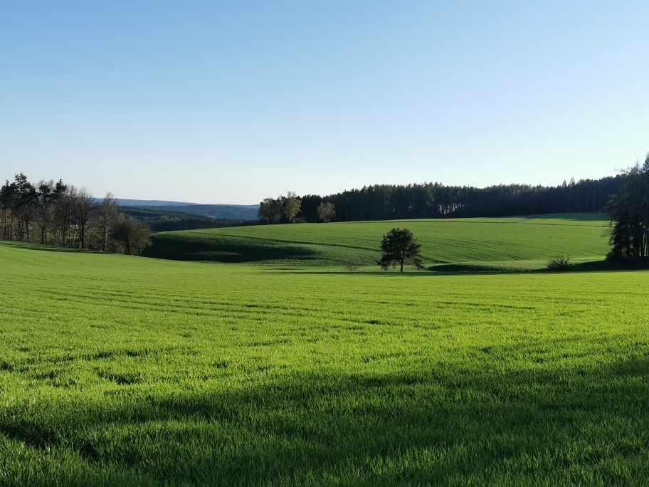 Nabburg