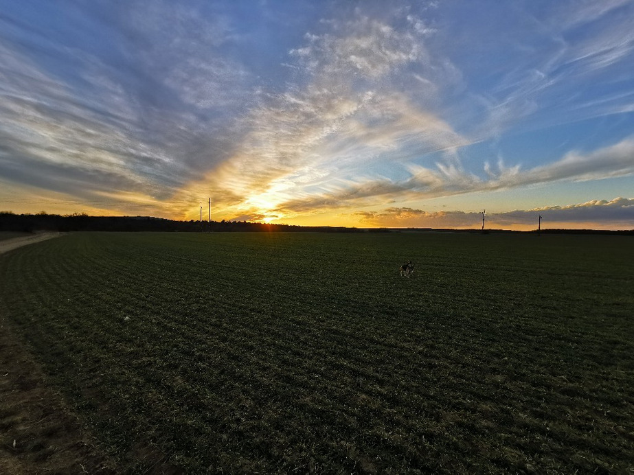 Isztimér