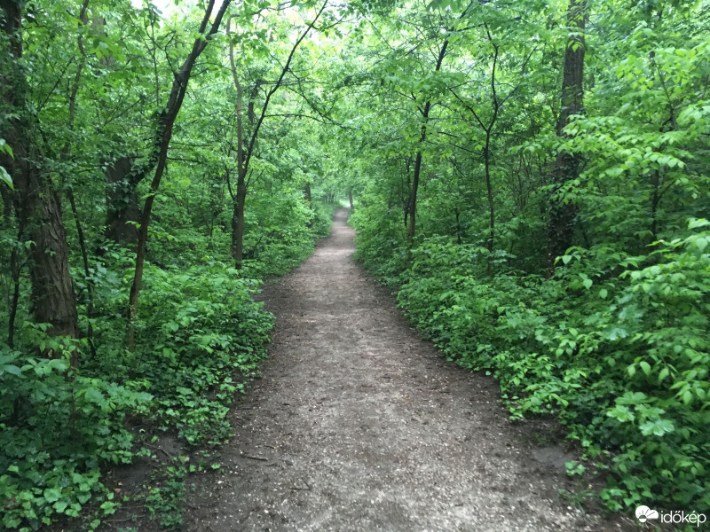 Budapest XIX.ker - Kispest