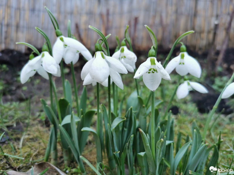 Budapest XIX.ker - Kispest