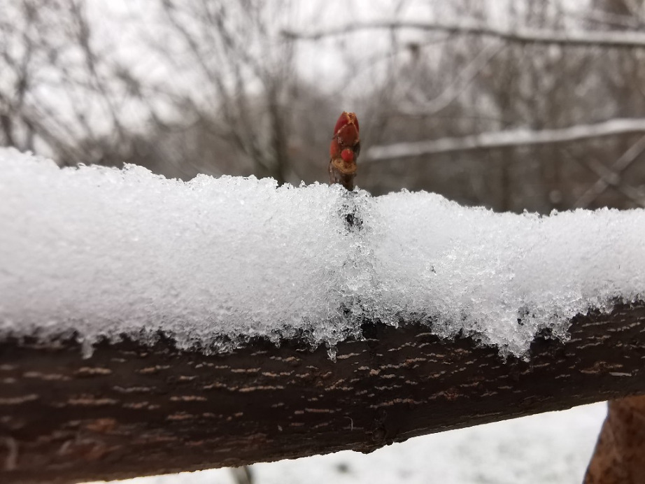 Budapest XIX.ker - Kispest