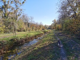 Budapest XX.ker - Pesterzsébet