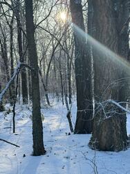 Budapest XIX.ker - Kispest