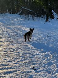 Budapest XIX.ker - Kispest