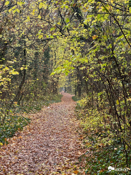 Budapest XIX.ker - Kispest