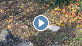 Budapest XIX.ker - Kispest