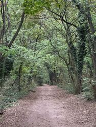 Budapest XIX.ker - Kispest