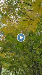 Budapest XIX.ker - Kispest