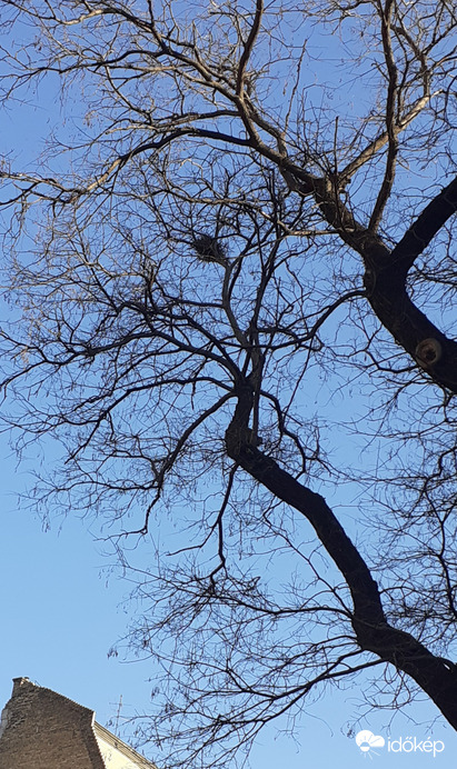 Szoba kiadó a Nyugatinál!