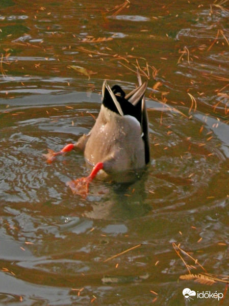 Ennyit az időről...