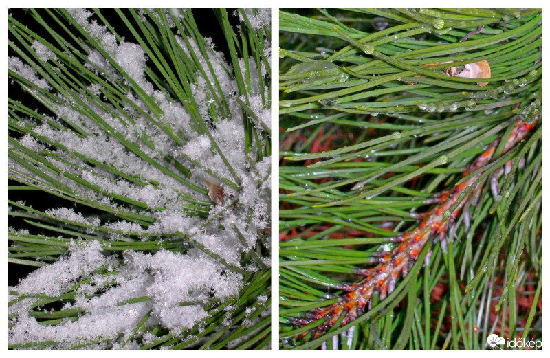 Mai halmazállapotok