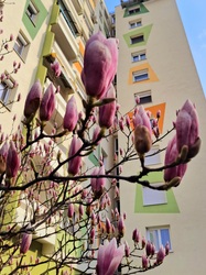 kapornaiz fotója