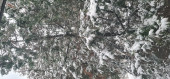 budapest havazott