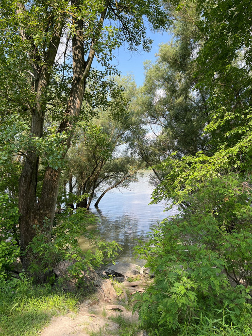 Dunakeszi