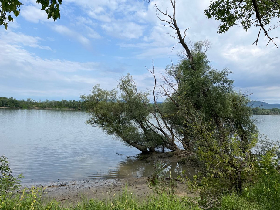 Dunakeszi