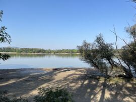 Dunakeszi