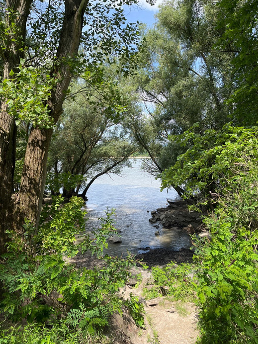 Dunakeszi