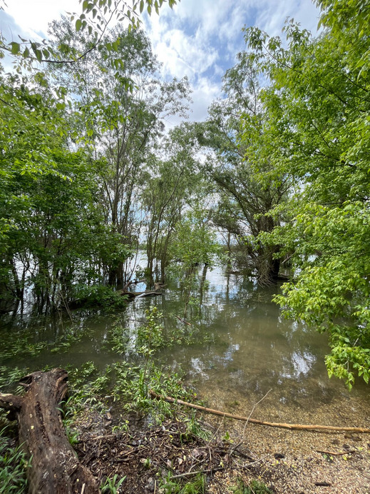 Dunakeszi