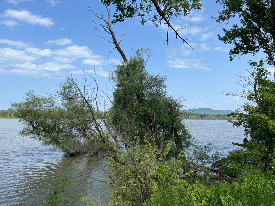Dunakeszi