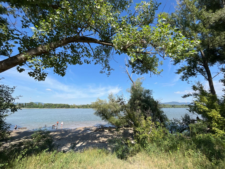 Dunakeszi