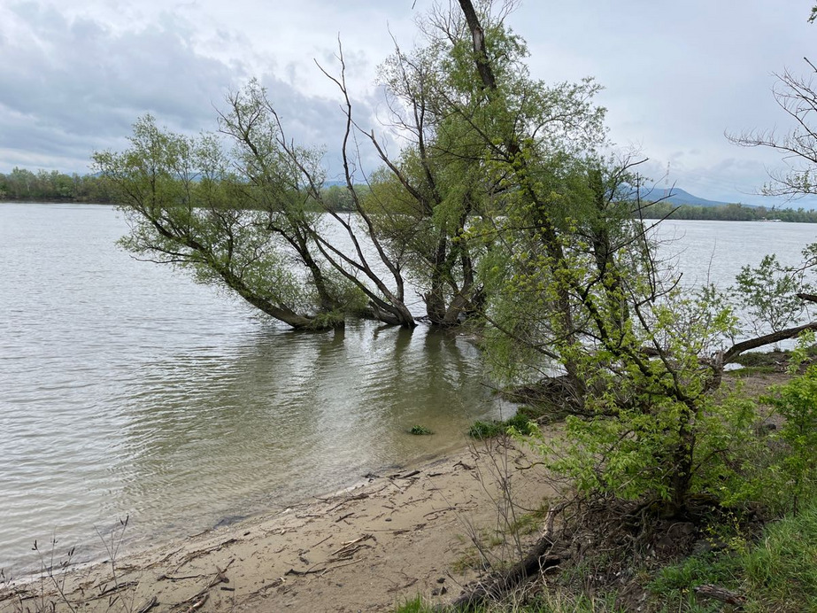 Dunakeszi