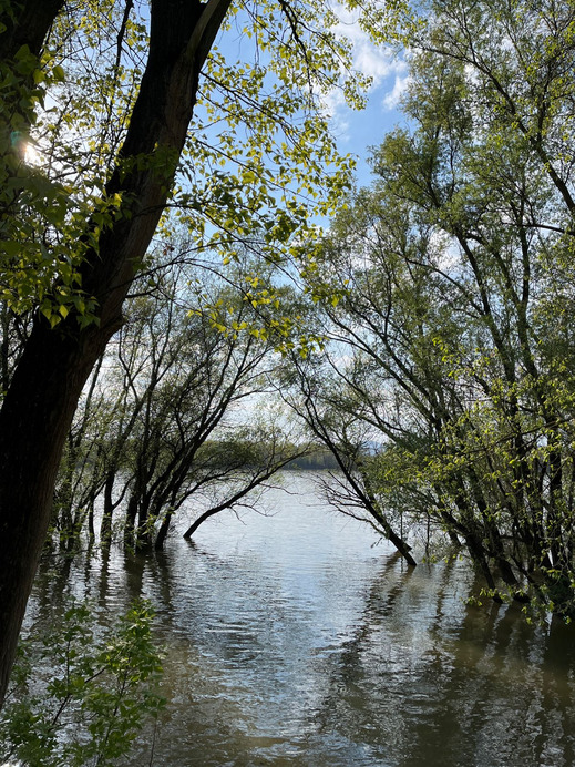 Dunakeszi
