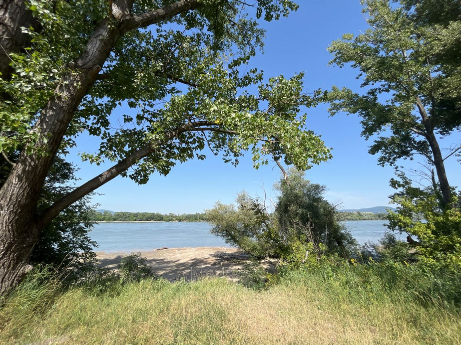 Dunakeszi
