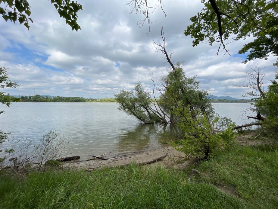 Dunakeszi