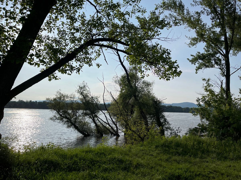 Dunakeszi