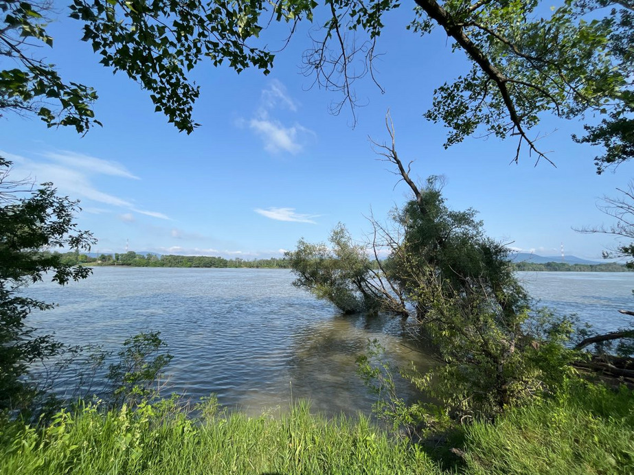 Dunakeszi
