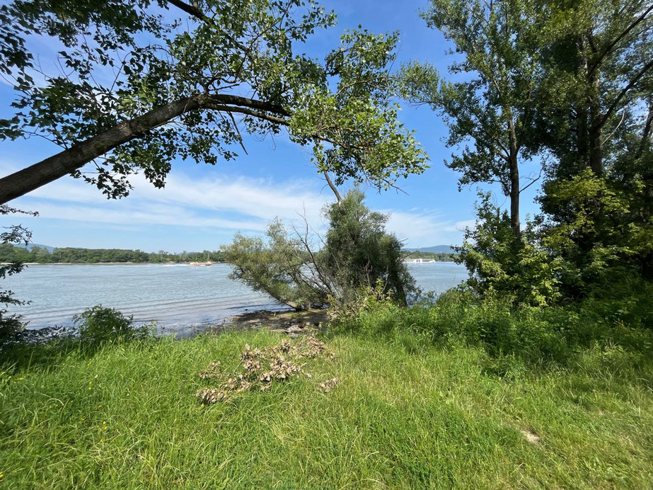Dunakeszi